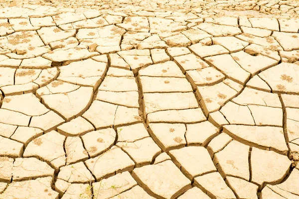 Fissure superficielle du sol en zone aride — Photo