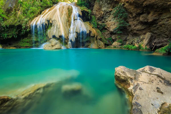 Прекрасный водопад с красочным деревом — стоковое фото