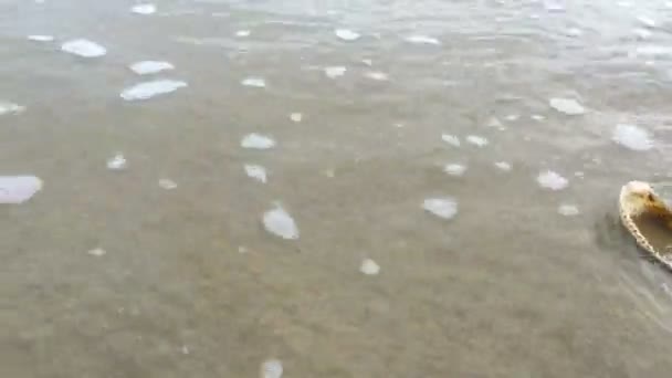 Dalgalar deniz kumlu plaj yıkama — Stok video