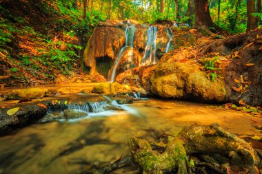 Renkli ağaç ile harika şelale