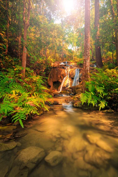 Wunderschöner Wasserfall mit buntem Baum — Stockfoto
