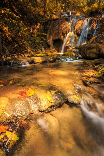 カラフルなツリーの素晴らしい滝 — ストック写真