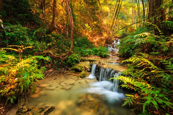 Wonderful waterfall with colorful tree — Stock Photo, Image