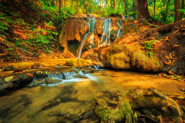 Splendida cascata con albero colorato — Foto Stock