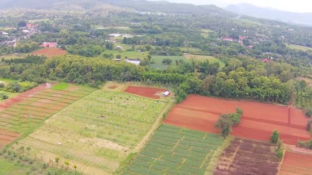 Сільського господарства та сільськогосподарських земель — стокове відео