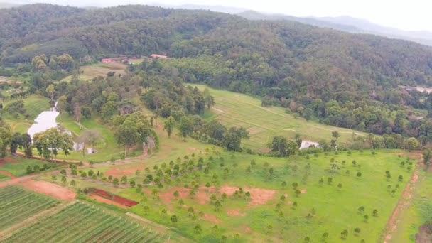 Agricultura e terras agrícolas — Vídeo de Stock