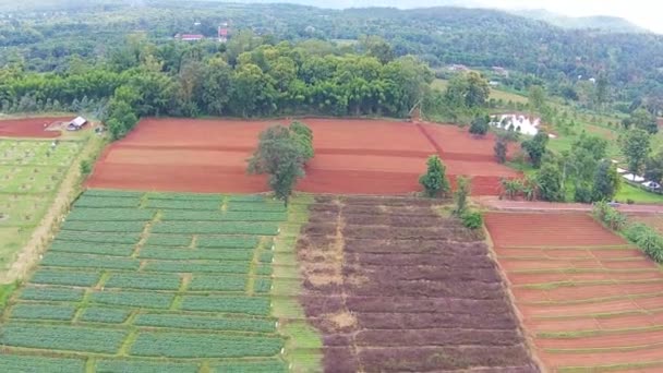 Agricultura y tierras agrícolas — Vídeo de stock