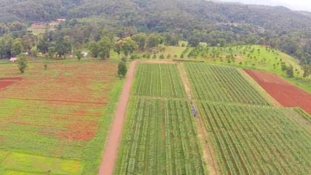 Agricultura e terras agrícolas — Vídeo de Stock