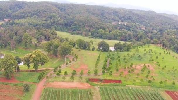 Agricultura y tierras agrícolas — Vídeo de stock