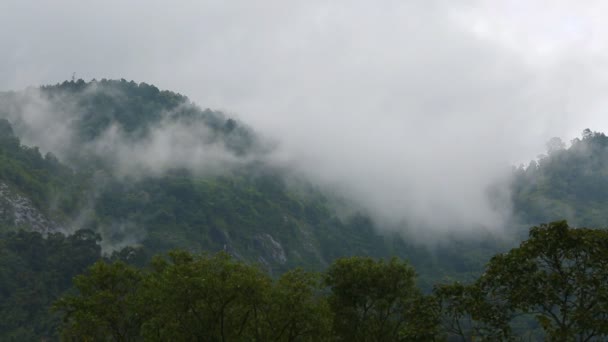 Niebla moviéndose con gran montaña — Vídeos de Stock