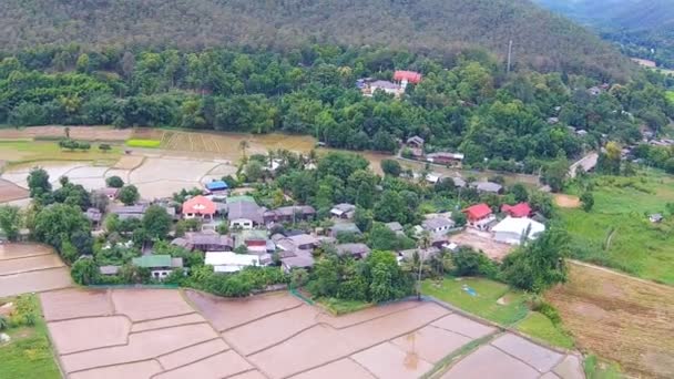 Campo de arroz e vista para a montanha — Vídeo de Stock