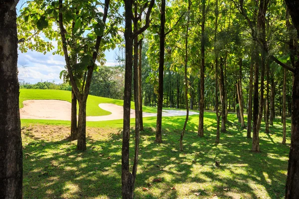 Campo de golfe na natureza — Fotografia de Stock