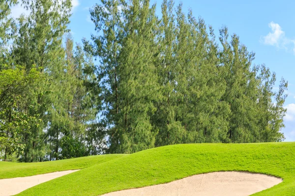 Campo de golfe na natureza — Fotografia de Stock