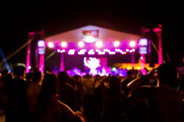 Kalabalık konser sahne önünde