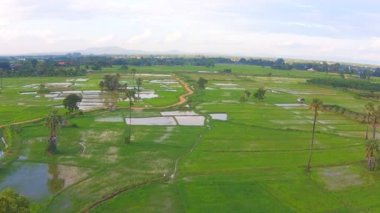 Hava atış pirinç alan