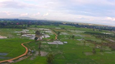 Hava atış pirinç alan