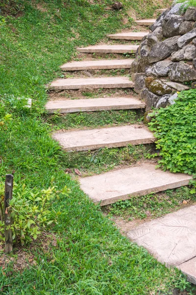 Voetpad met gras in de tuin — Stockfoto