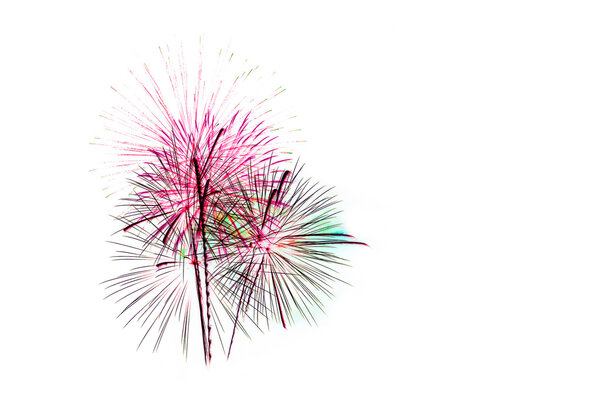 Colorful fireworks light on the sky