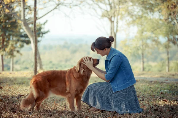 Mulher bonita com um cão bonito golden retriver — Fotografia de Stock