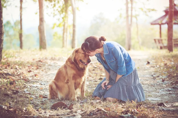 Golden retriever cão e mulher bonita — Fotografia de Stock