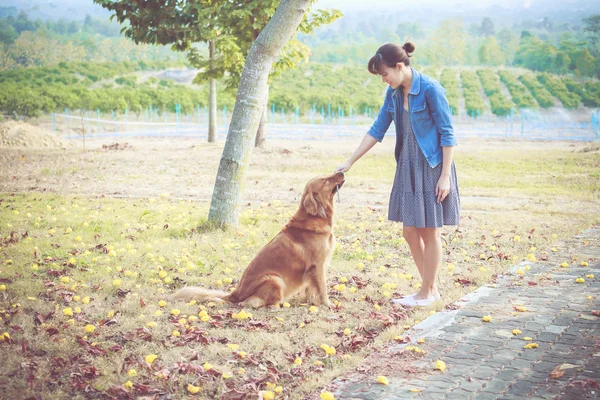 Golden retriever pies i piękna kobieta — Zdjęcie stockowe