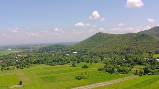 Campo de arroz plano aéreo y montaña — Vídeos de Stock