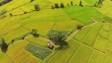 Hava atış pirinç alan ve dağ