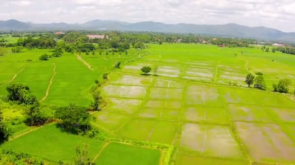 Udara ditembak sawah dan gunung — Stok Video