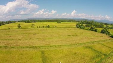 Hava atış pirinç alan ve dağ
