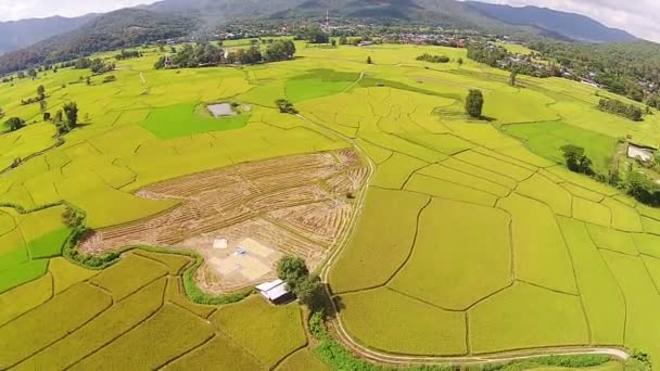 Hava atış pirinç alan ve dağ — Stok video