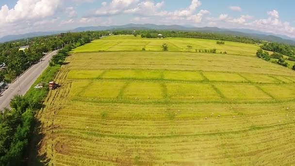 Повітряний постріл рисового поля і гори — стокове відео