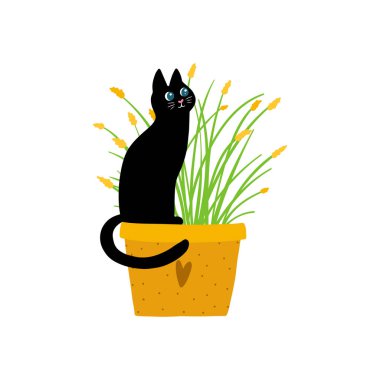 Bir saksı çiçeğin içindeki komik siyah kedi. Bahar mevsimi konsepti. Basit bir el çizimi ile vektör illüstrasyonu çocuksu çizgi film tarzı. Beyaz arkaplanda izole et