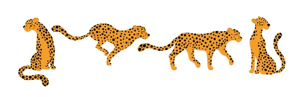 Leoparden gesetzt. Vektorillustrationen tropischer Tiere in verschiedenen Posen in einem einfachen handgezeichneten Cartoon-Stil. isoliert auf weißem Hintergrund. — Stockvektor