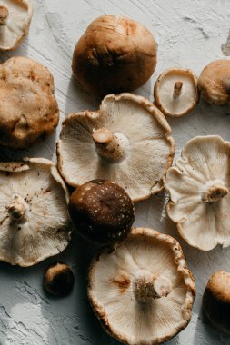 Kırsal beyaz bir masada taze toplanmış kahverengi shiitake mantarları yakın plan..