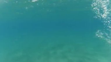 Beyaz ırkın su altında yüzüşünün POV Aksiyon Kamerası