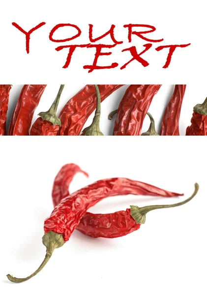 Dried Red chili pepper — Stock Photo, Image