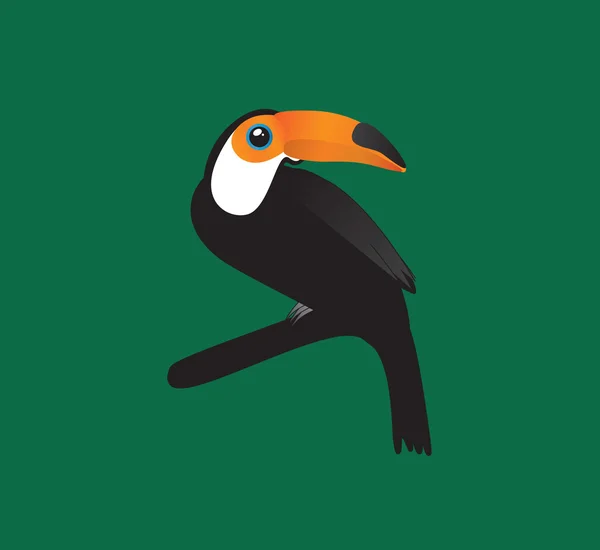 Kuş vektör doğa renkli arka planlar