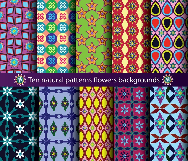 Diez patrones de flores naturales fondos sin costura Ilustraciones de stock libres de derechos