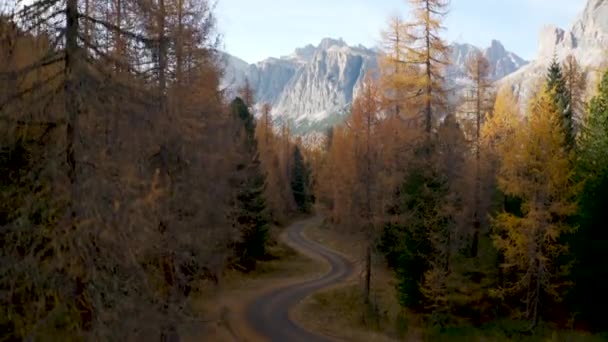 从小路飞上落叶松林 飞上白云石之美 — 图库视频影像