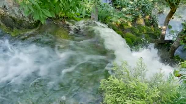 Kleine Wasserfälle Zwischen Den Bäumen Den Plitvicer Seen Nationalpark Kroatien Stock-Filmmaterial