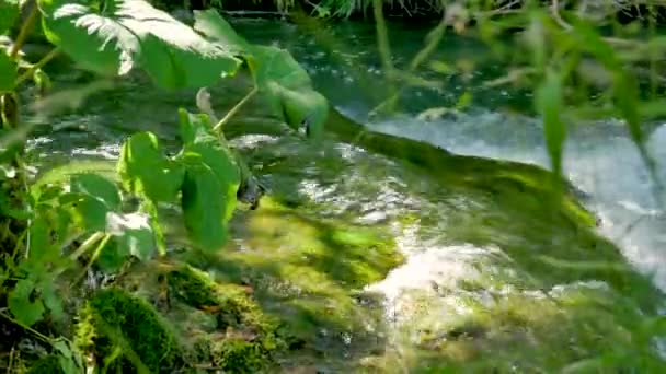 Εξαιρετικός Καταρράκτης Στο Εθνικό Πάρκο Plitvice Lakes Στην Κροατία — Αρχείο Βίντεο