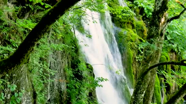 Air Terjun Yang Luar Biasa Taman Nasional Plitvice Lakes Kroasia — Stok Video