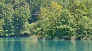 Plitvice göllerindeki elektrikli feribottan Kozjak Gölü manzarası