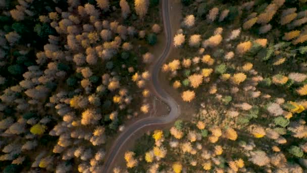 Luftflug Über Alpine Mountain Road Dolomiten Videoclip