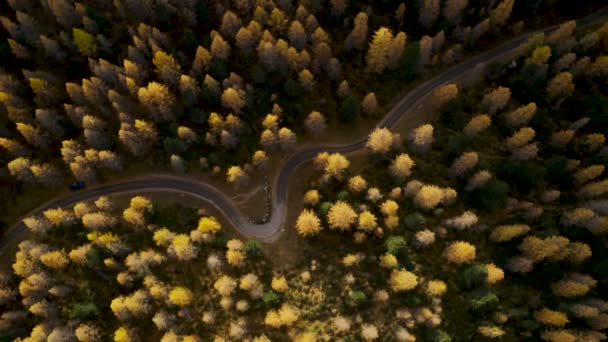 Flygfoto Italienska Dolomiter Med Höstträd Pan Från Skogen Till Panorama — Stockvideo