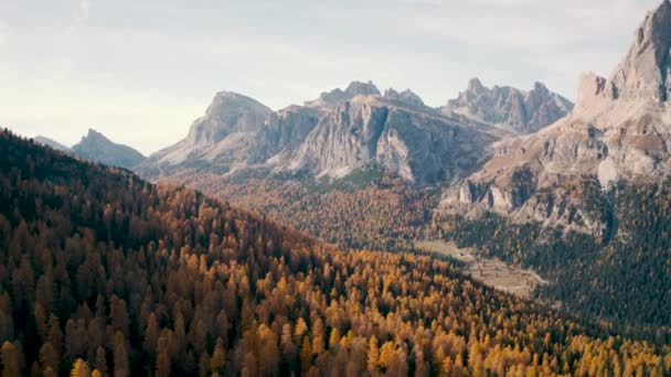 Scatto Aereo Delle Dolomiti Italiane Autunno Giù Nel Bosco — Video Stock