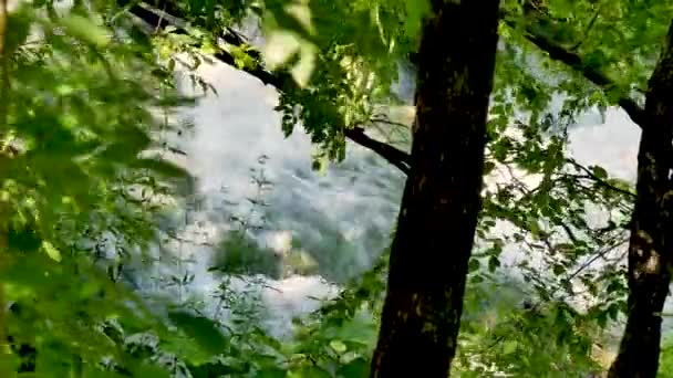 クロアチアのプリトヴィツェ湖国立公園の植物と滝の閉鎖 — ストック動画
