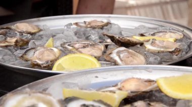 İstiridye ayrıntılı