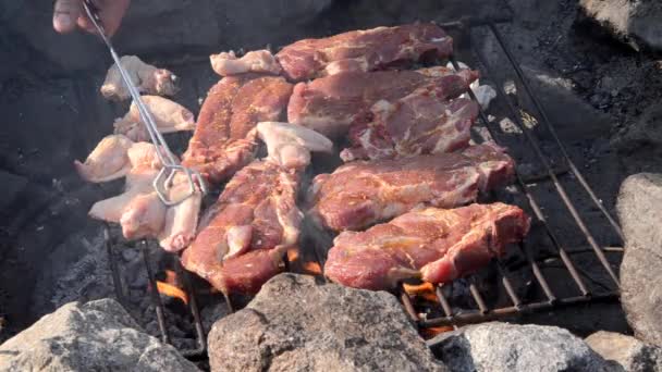 Mięso na grilla — Wideo stockowe