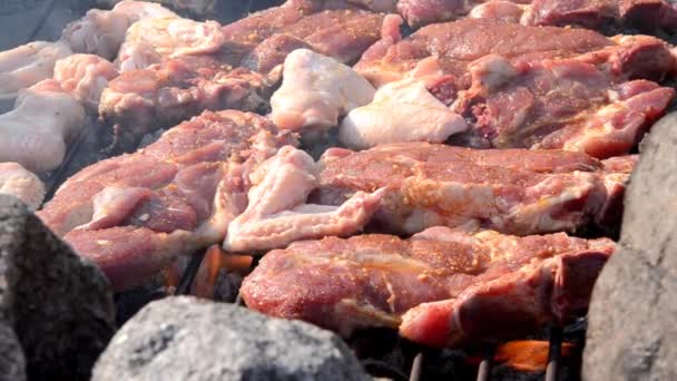 Meat on barbecue close up — Stock Video